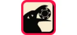 Reel Raven